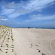 View along the beach of Kennedy Space Center’s dune restoration site in 2014. Photo Courtesy Dan Casper/NASA.
